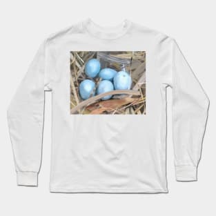 Nest of Blue Eggs Long Sleeve T-Shirt